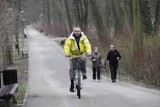 Obowiązkowa karta rowerowa uderzy w najstarszych