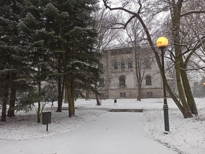 Zima wróciła. Czekają nas intensywne opady śniegu. Ostrzeżenie meteorologiczne IMGW. Jaka pogoda w Łodzi i woj. łódzkim? 