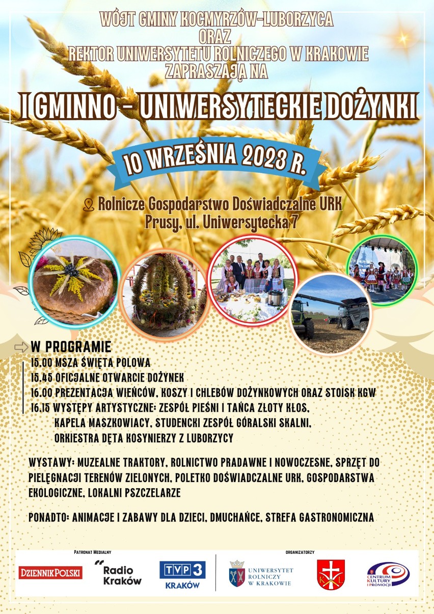 Dożynki gminno-uniwersyteckie pod Krakowem. Zaprezentują rolnictwo pradawne i nowoczesne oraz muzealne traktory