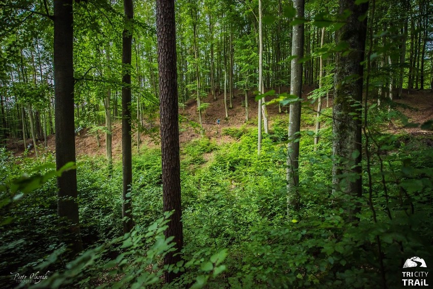 TriCity Trail 2021 to trzy wymagające dystanse na trasach...