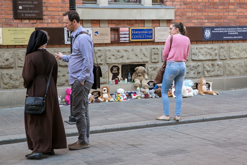 Symboliczne pluszaki dla Alfiego Evansa. "Nie chcemy przyglądać się tej tragedii z obojętnością"