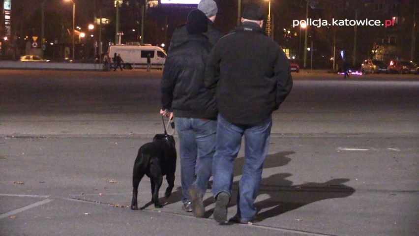 Uczestnicy Mayday byli sprawdzani przez kilkudziesięciu...