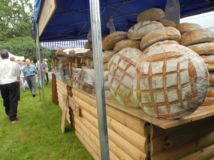 XVI Święto chleba w Ciechanowcu (zdjęcia)
