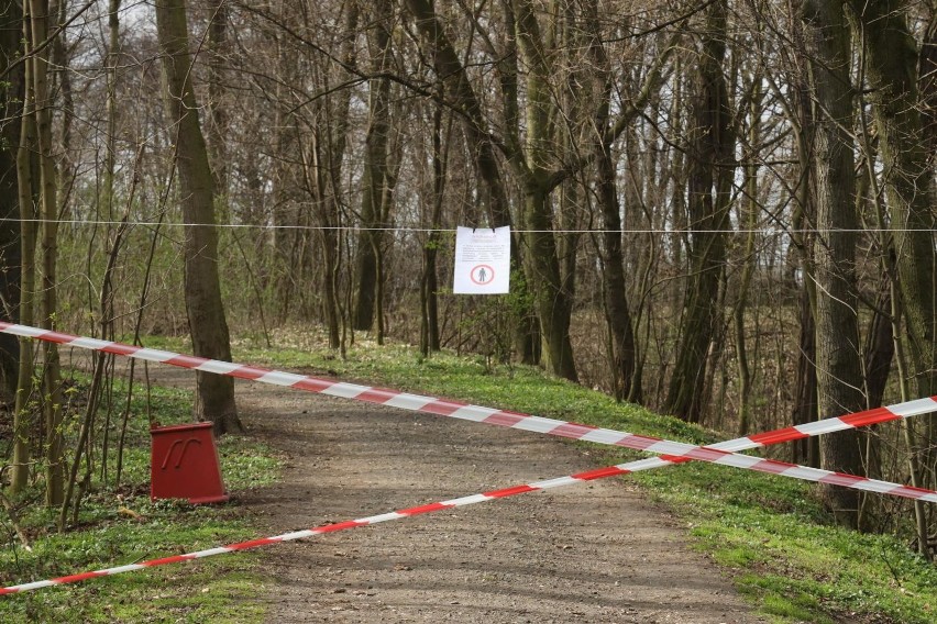 Odmrażanie gospodarki. Kiedy zostaną otwarte sklepy, kina i teatry? Do kiedy zakaz wchodzenia do lasów? Minister zdrowia podał termin