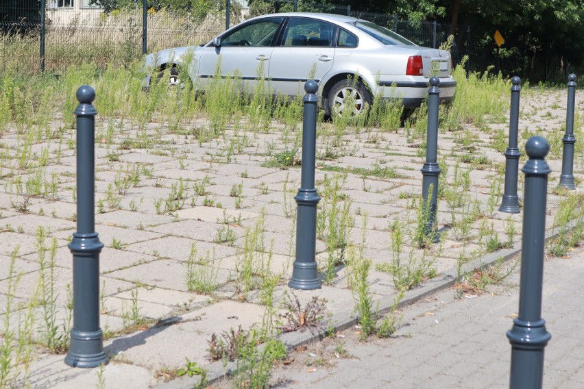 Samochód na placu Dąbrowskiego parkuje tak długo, że zdążyli go ogrodzić palikami ZDJĘCIA