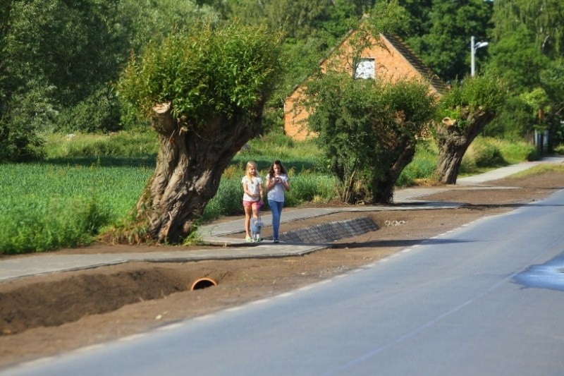 Chodnik w Gołuskach biegnie zygzakiem, żeby chronić...
