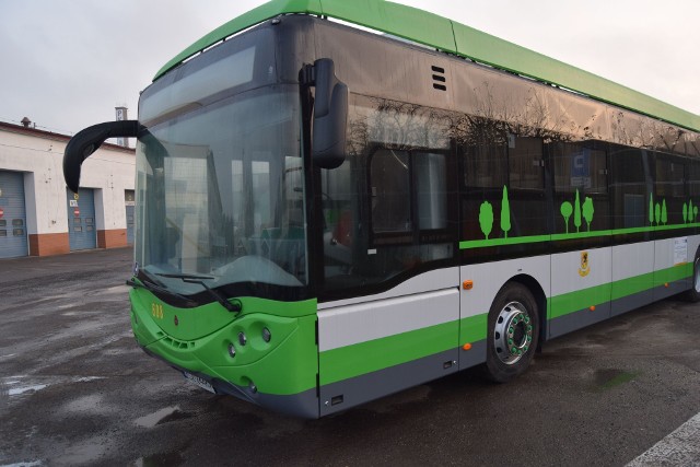 Szczecinecki autobus elektryczny