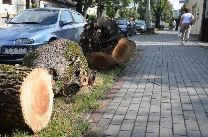 Pozostałości ściętych drzew zalegają przy ul. Jasnej. Pnie...