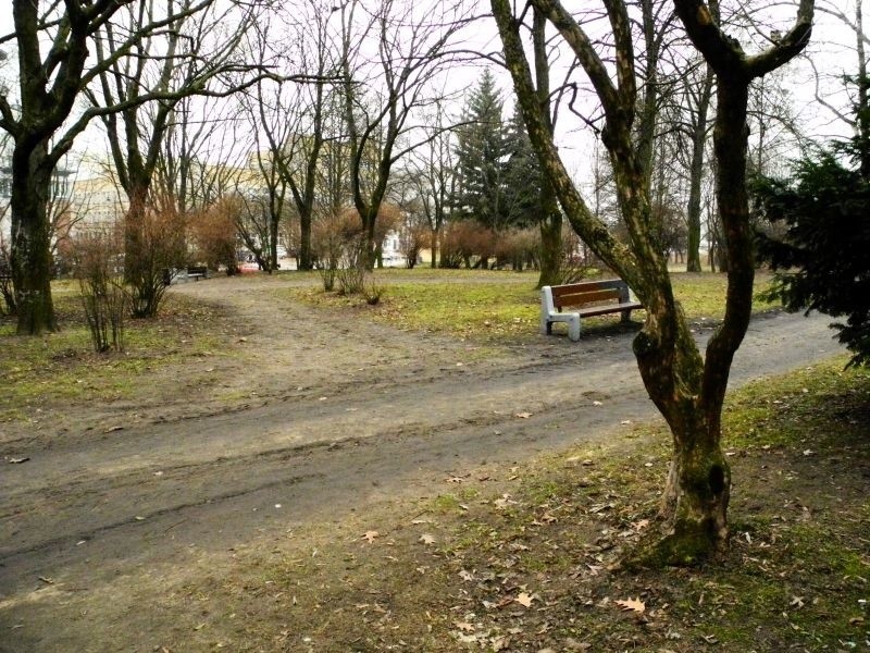 Park Centralny. Kiedyś był tu cmentarz żydowski (zdjęcia, wideo)