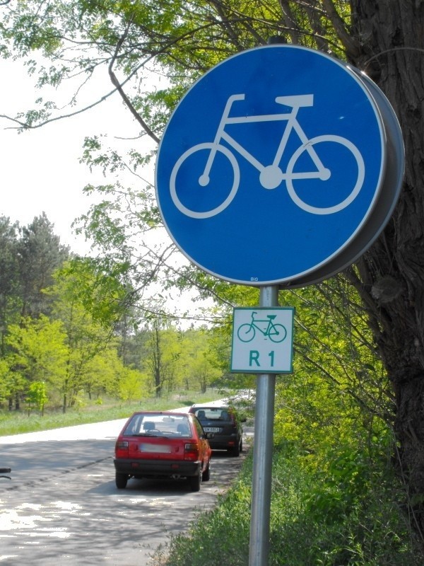 Autodranie wytropienie przez Cyklistę51 zajmują całą ścieżkę rowerową w czasie, gdy po drugiej stronie jezdni parking świeci pustkami.