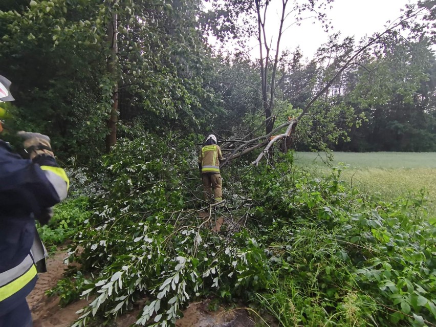 Silne wiatry i deszcze dały znać o sobie także w powiecie...