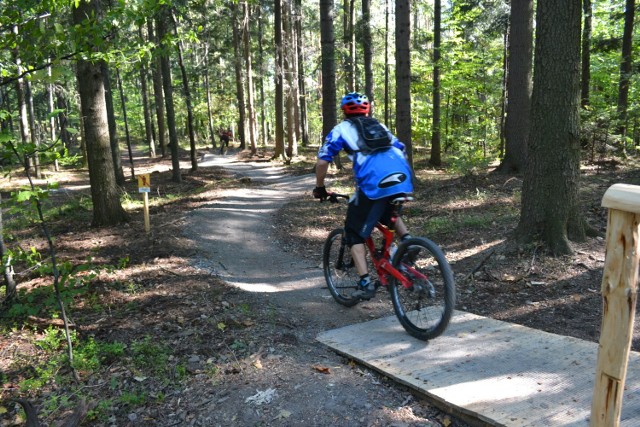 Enduro Trails Bielsko-Biała to bardzo popularne ścieżki rowerowe wiodące przez las. Kilka odcinków jest wyjątkowo trudnych