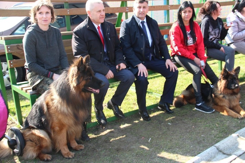 Wielka wystawa psów rasowych i wystawa psów małych ras w Rudniku nad Sanem (ZDJĘCIA)