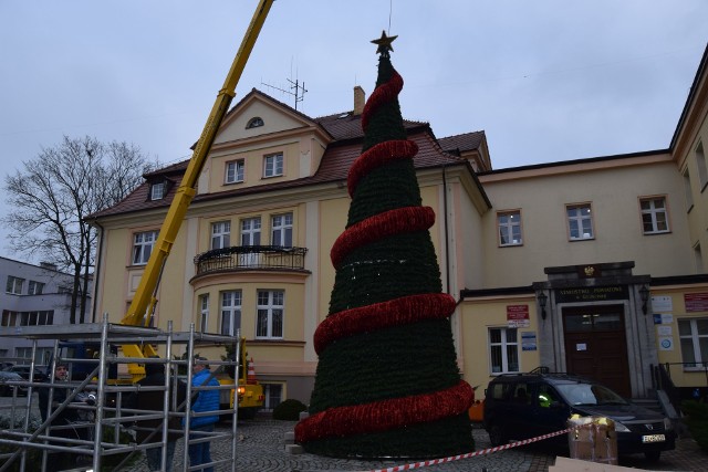 Ustawianie starościńskiej choinki