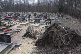 Huraganowy wiatr w Świętochłowicach zniszczył cmentarz i uszkodził samochody. Zobaczcie zdjęcia