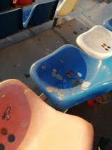 Kibice: Krzesełka na stadionie miejskim w Rzeszowie toną w ptasich odchodach [ZDJĘCIA]
