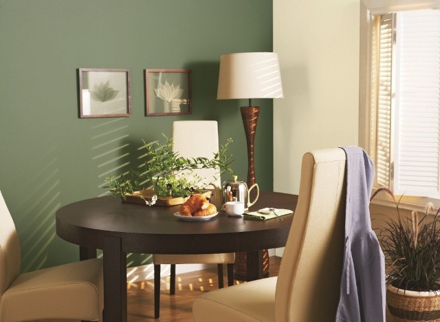 Jedna ściana pomalowana na zielonoZielona ściana w salonie doda spokoju i elegancji