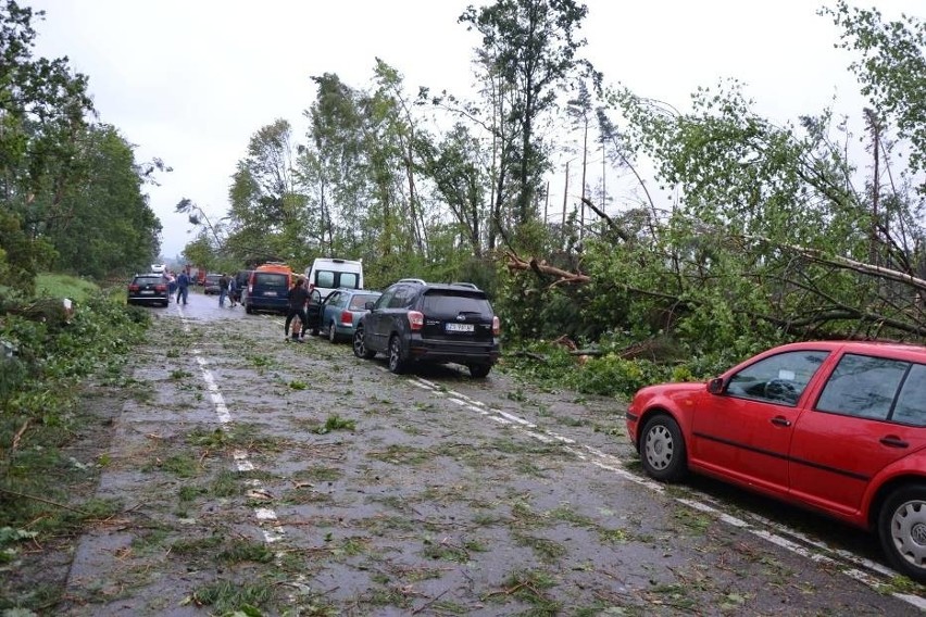 Tragedia w Suszku na Pomorzu. Zginęli harcerze z Łódzkiego