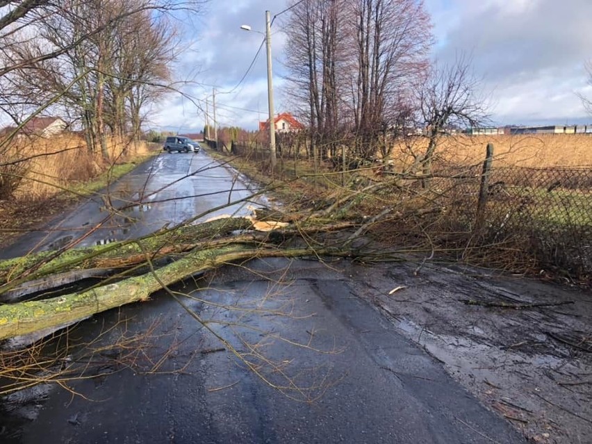 Powalony konar drzewa na jezdni w miejscowości Pabierowice.
