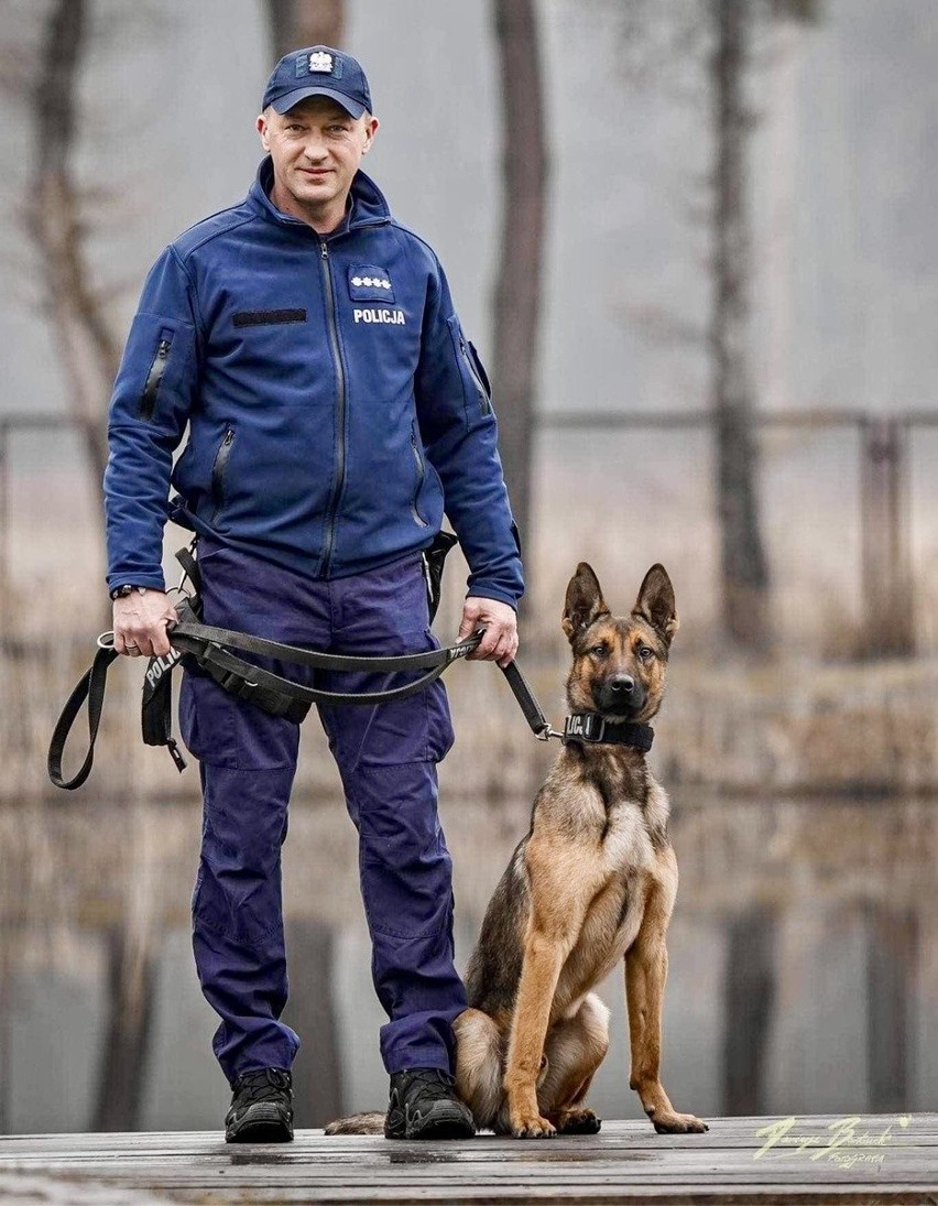 Nowy funkcjonariusz sosnowieckiej policji na czterech łapach. Przywitajcie Sago 
