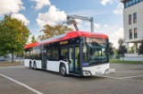 Solaris zaprezentował nowy model autobusu elektrycznego. Zobacz, jak prezentuje się Solaris Urbino 15 LE electric