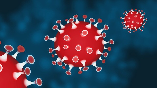 Światowa Organizacja Zdrowia WHO opublikowała listę mitów na temat koronawirusa SARS-CoV-2. Zamieściła wyjaśnienia do nich.