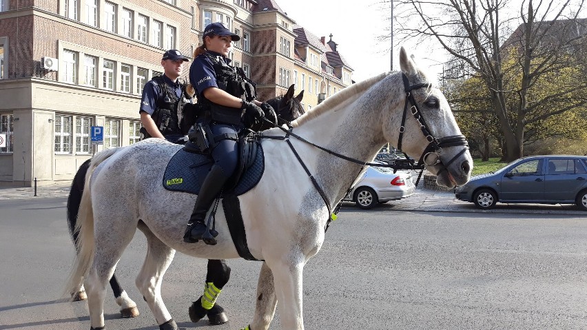 Patrole konne pojawiły się na ulicach Szczecina [ZDJĘCIA]