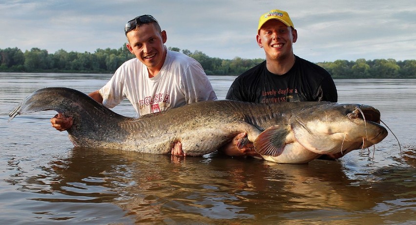 Wodne potwory z Wisły - TOP 15 największych ryb, złowionych przez świętokrzyską ekipę (ZDJĘCIA)