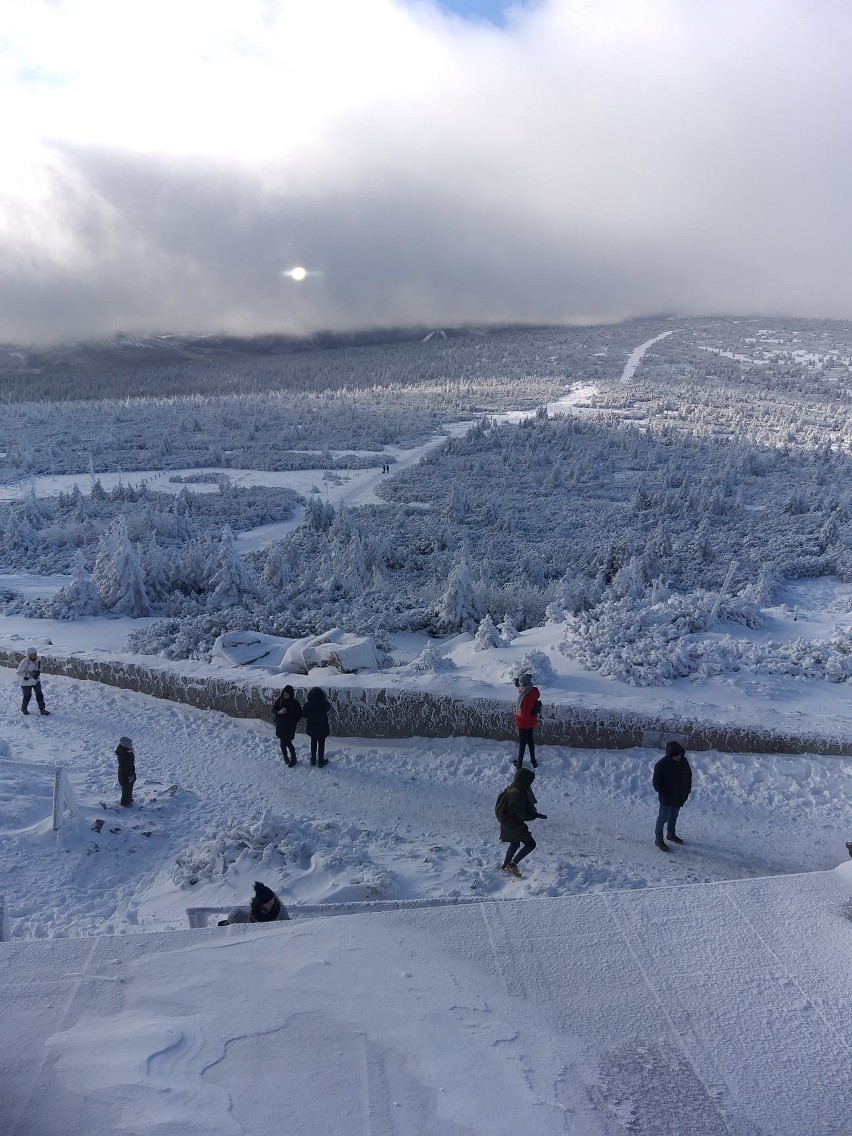 Karkonosze, Schronisko na Szrenicy