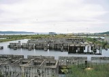 „Dziś Czarnobyl - jutro Żarnowiec”