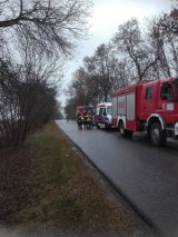 Dachowanie w Koziołkach! Ranny kierowca [zdjęcia]