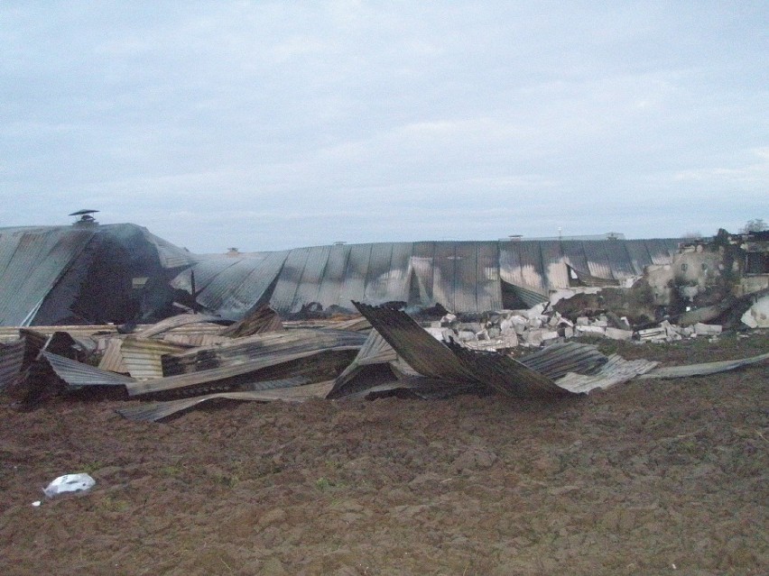 Pożar fermy drobiu w Witowicach: Spłonęło 18 tysięcy kurczaków (ZDJĘCIA)