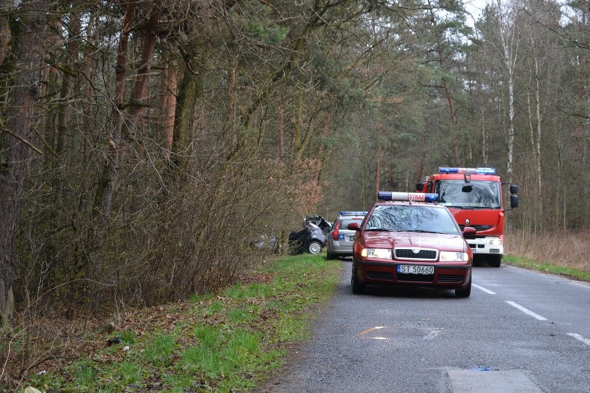 Tragiczny wypadek w Bieruniu: Zginęła 37-latka. Uderzyła w drzewo [ZDJĘCIA]