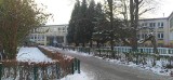 Dziki zapuściły się pod szkołę podstawową w Krakowie. Zablokowały główne wejście. Dyrektor: Były pod oknami mojego gabinetu
