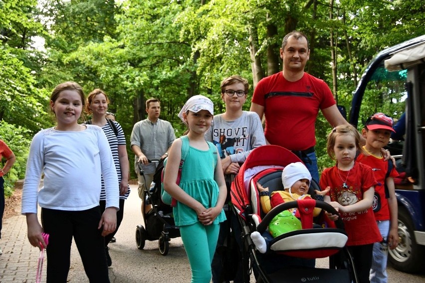 Piękna, słoneczna sobota zachęciła tłumy osób do aktywnego...