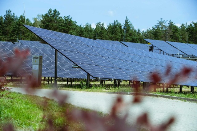 Farma fotowoltaiczna w szczytowym momencie nasłonecznienia nie tylko zaspokaja zapotrzebowanie na energię stacji uzdatniania wody na Pietraszach. Naddatek energii zasila stację wodociągów w Wasilkowie.