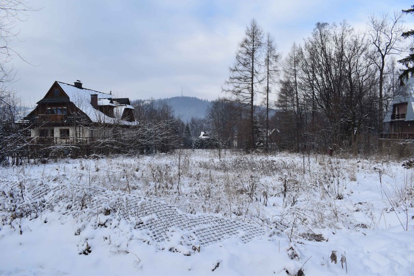 Na tej działce, między domami jednorodzinnymi inwestor chce...