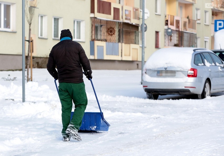 Ośnieżony Szczecin. Zima trwa na całego. Zobacz, jak szczecinianie spędzają czas na śniegu! ZDJĘCIA