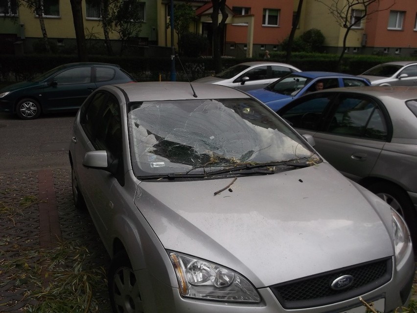 Wrocław: Drzewo przygniotło samochody na parkingu przy Rogowskiej (ZDJĘCIA)