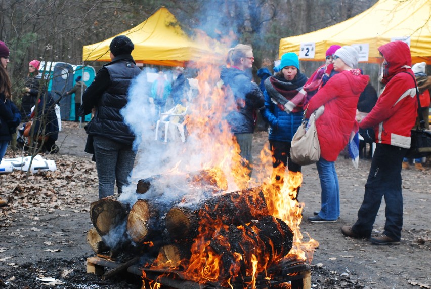 Panewnicki Bieg Dzika. Biegły tłumy ZDJĘCIA