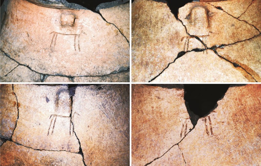 Sensacyjne odkrycie lubelskich archeologów: „Fotografia” konia sprzed 5 tysięcy lat