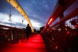 Kraków. Patriotyczna iluminacja kładki Bernatka, estakady tramwajowej i Tauron Areny [ZDJĘCIA]