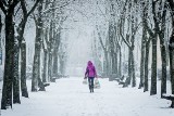 Pogoda na Boże Narodzenie w regionie koszalińskim. Nie spodziewajmy się śniegu na święta 