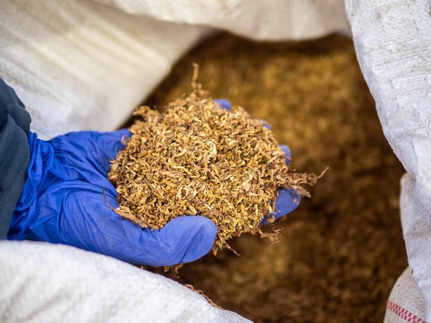 Prawie osiem ton suszu tytoniowego oraz ponad siedemset kilogramów tytoniu do palenia trafiło do magazynów śląskiego oddziału KAS