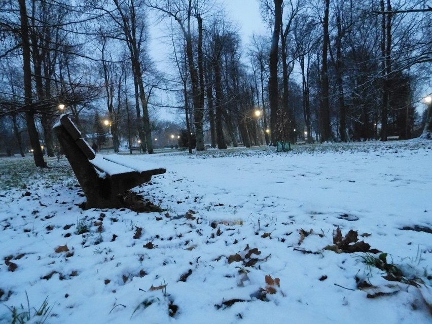 W poniedziałkowy poranek w Koszalinie pojawiła się zima. Po...