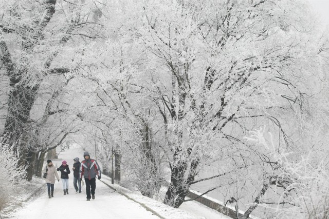 Według prognoz meteorologicznych na terenie kraju sobota będzie pochmurna z przejaśnieniami na zachodzie. Okresami pojawią się opady śniegu (1-5 cm), a na Podkarpaciu deszczu ze śniegiem (5-10 mm). Temperatura maksymalna wyniesie od -5 st. C na Suwalszczyźnie do 4 st. C na Podkarpaciu. Powieje słaby i umiarkowany wiatr, zachodni i północno-zachodni.CZYAJ DALEJ ZOBACZ POGODĘ >>>>...