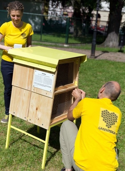 Ustawianie schronień dla pszczół w przestrzeni miejskiej nie...
