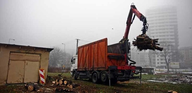 Drogowcy zabrali się za wycinkę drzew w pobliżu ulicy Mazowieckiej