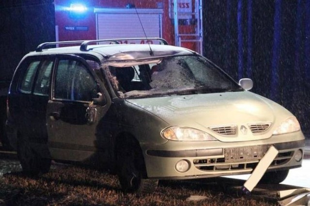 Wypadek na DK65 relacji Ciemnoszyje - Osowiec. Łoś zabił pasażera