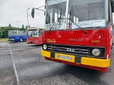 Już w sobotę zlot zabytkowych autobusów w Bydgoszczy. Będzie parada ulicami miasta